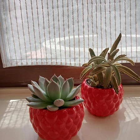 Holiday home Casa Entrepiedras