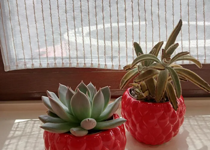 Σπίτι διακοπών Casa Entrepiedras